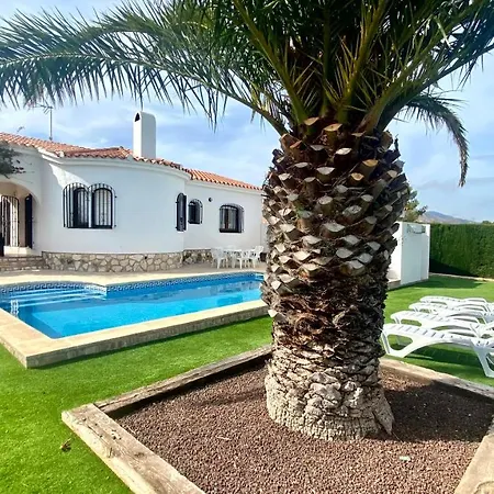 Palmera