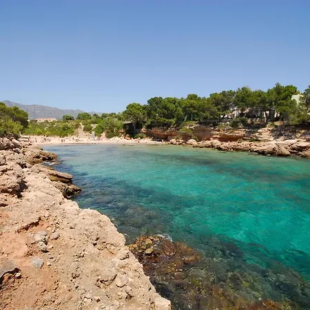 Palmera Calafat